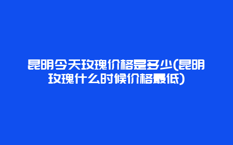 昆明今天玫瑰价格是多少(昆明玫瑰什么时候价格最低)