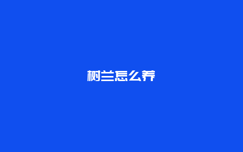 树兰怎么养