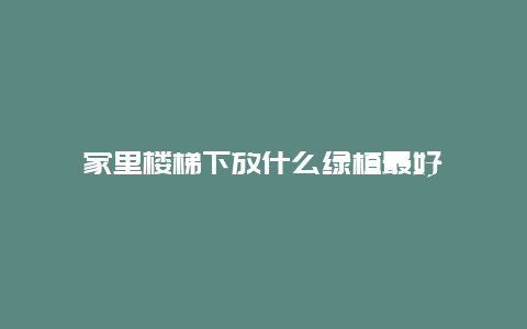 家里楼梯下放什么绿植最好