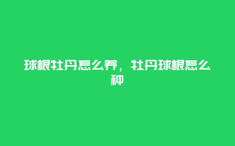 球根牡丹怎么养，牡丹球根怎么种