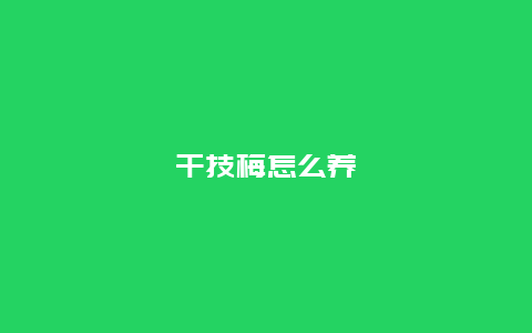 干技梅怎么养