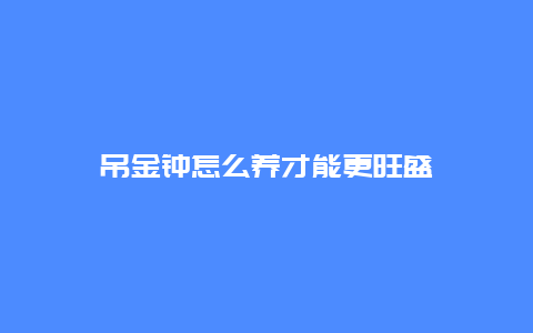 吊金钟怎么养才能更旺盛