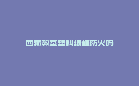 西藏教室塑料绿植防火吗