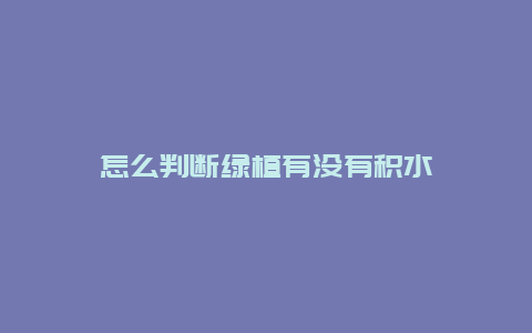 怎么判断绿植有没有积水