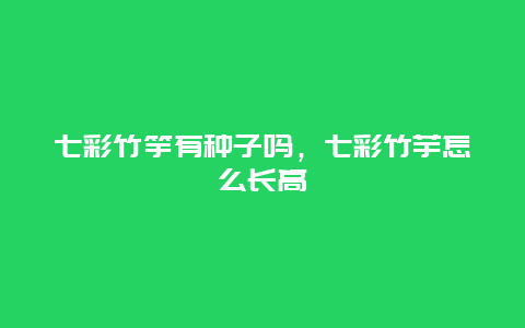 七彩竹竽有种子吗，七彩竹芋怎么长高