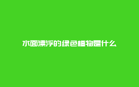 水面漂浮的绿色植物是什么