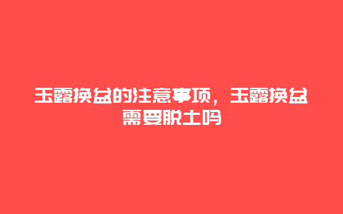 玉露换盆的注意事项，玉露换盆需要脱土吗