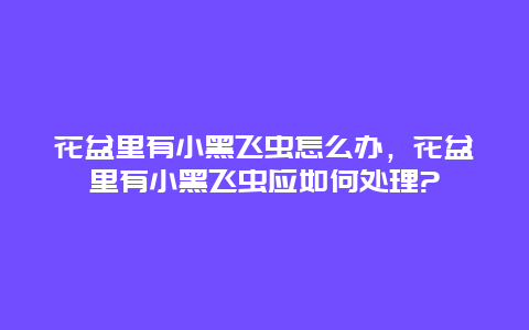 花盆里有小黑飞虫怎么办，花盆里有小黑飞虫应如何处理?