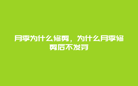 月季为什么修剪，为什么月季修剪后不发芽