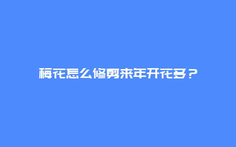 梅花怎么修剪来年开花多？