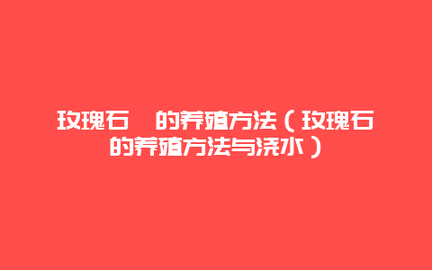 玫瑰石斛的养殖方法（玫瑰石斛的养殖方法与浇水）