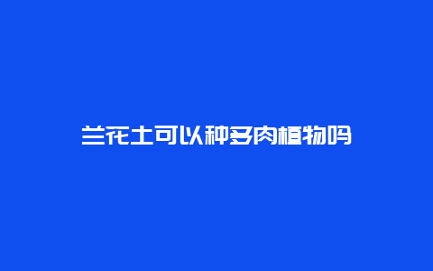 兰花土可以种多肉植物吗