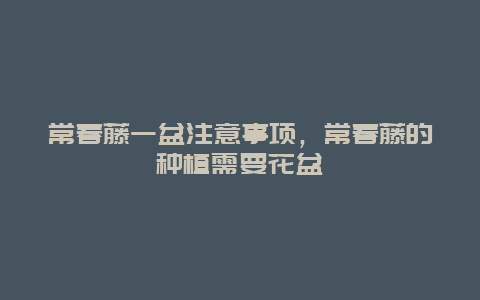 常春藤一盆注意事项，常春藤的种植需要花盆