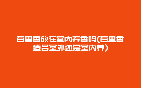 百里香放在室内养香吗(百里香适合室外还是室内养)