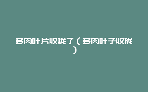 多肉叶片收拢了（多肉叶子收拢）