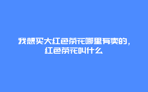 我想买大红色茶花哪里有卖的，红色茶花叫什么