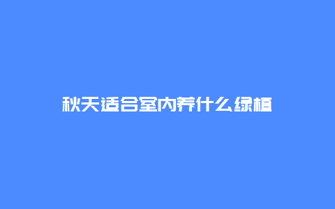 秋天适合室内养什么绿植