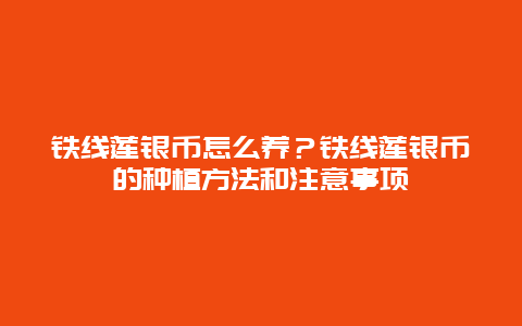 铁线莲银币怎么养？铁线莲银币的种植方法和注意事项