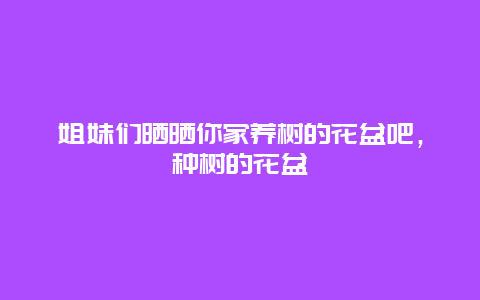 姐妹们晒晒你家养树的花盆吧，种树的花盆