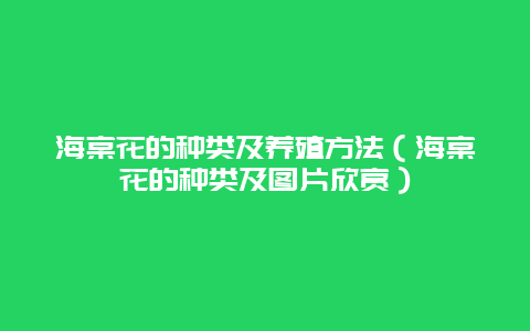 海棠花的种类及养殖方法（海棠花的种类及图片欣赏）