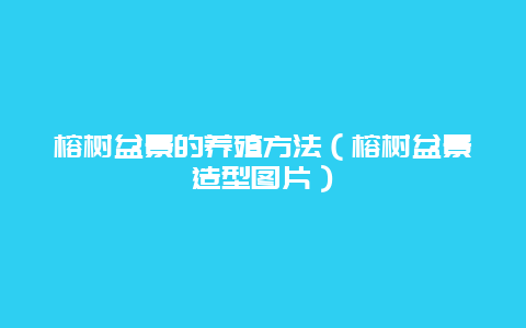 榕树盆景的养殖方法（榕树盆景造型图片）