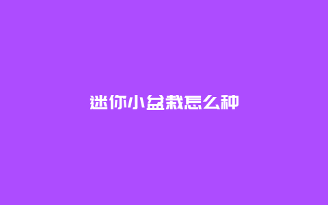 迷你小盆栽怎么种