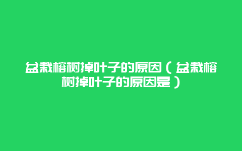 盆栽榕树掉叶子的原因（盆栽榕树掉叶子的原因是）