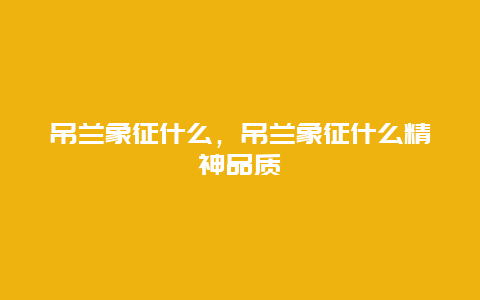 吊兰象征什么，吊兰象征什么精神品质