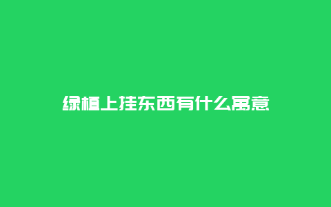 绿植上挂东西有什么寓意