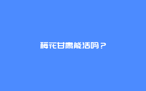 梅花甘肃能活吗？