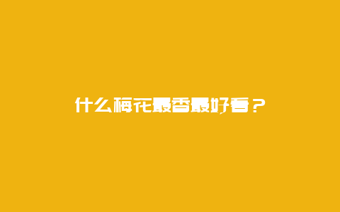 什么梅花最香最好看？