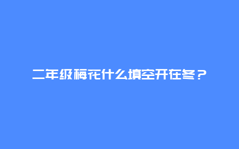 二年级梅花什么填空开在冬？