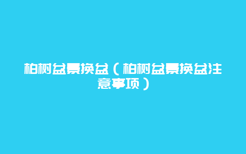 柏树盆景换盆（柏树盆景换盆注意事项）