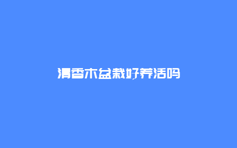 清香木盆栽好养活吗