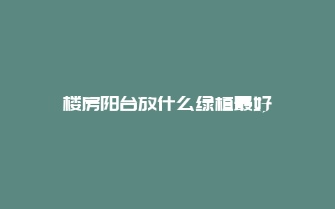 楼房阳台放什么绿植最好