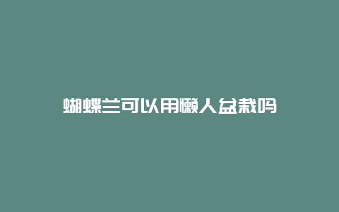 蝴蝶兰可以用懒人盆栽吗