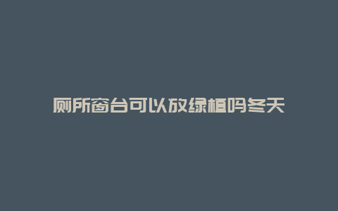 厕所窗台可以放绿植吗冬天