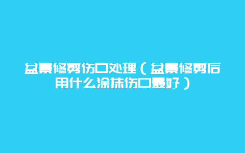 盆景修剪伤口处理（盆景修剪后用什么涂抹伤口最好）