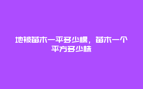 地被苗木一平多少棵，苗木一个平方多少株