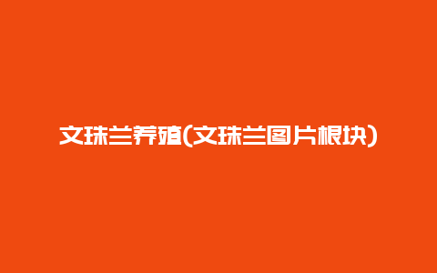 文珠兰养殖(文珠兰图片根块)