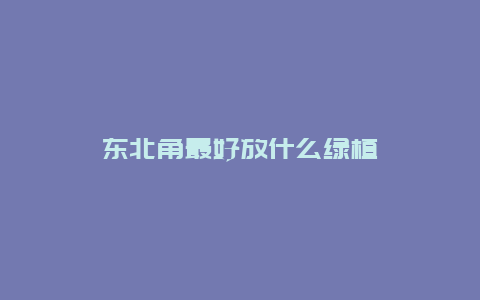 东北角最好放什么绿植