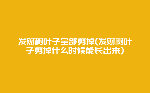 发财树叶子全部剪掉(发财树叶子剪掉什么时候能长出来)