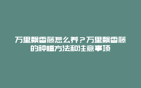 万里飘香藤怎么养？万里飘香藤的种植方法和注意事项