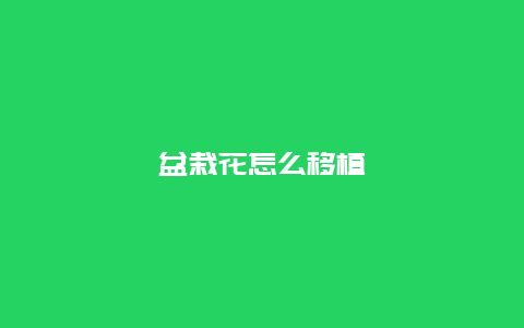 盆栽花怎么移植