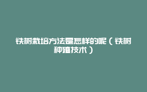 铁树栽培方法是怎样的呢（铁树种殖技术）