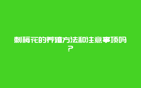 刺梅花的养殖方法和注意事项吗?