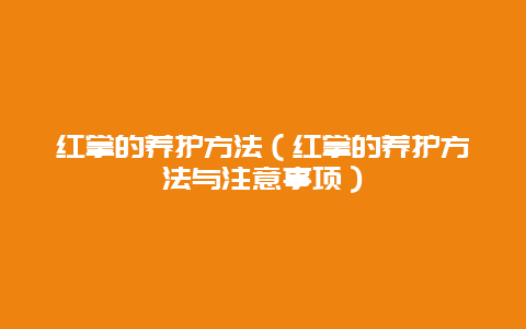 红掌的养护方法（红掌的养护方法与注意事项）