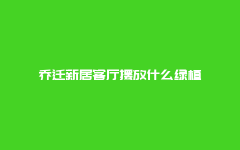 乔迁新居客厅摆放什么绿植