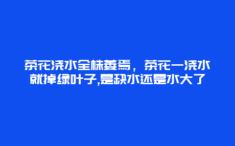 茶花浇水全株萎焉，茶花一浇水就掉绿叶子,是缺水还是水大了