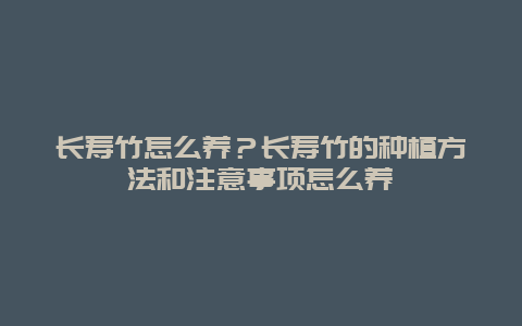 长寿竹怎么养？长寿竹的种植方法和注意事项怎么养